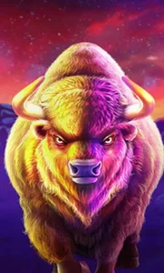 Buffalo King Megaways