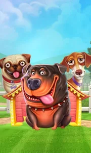 The Dog House
